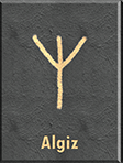 Algiz – Norse Runes Examined in Depth
