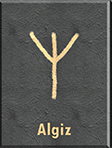 Algiz Hero