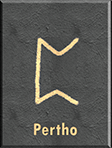 Pertho: Norse Rune Deep Dive – Mythology Merchant