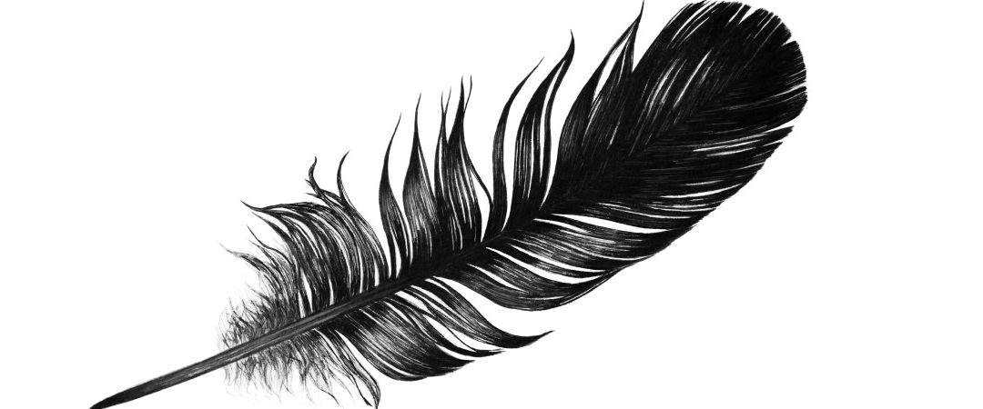 Premium Vector  Feather of birds black and white feather silhouette for  logo vector set