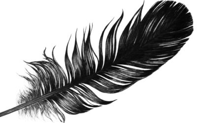 Black Feather Meaning, What Does the Black Feather Mean?