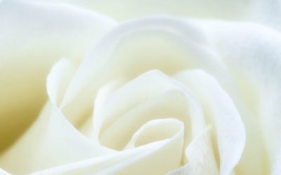 Colour White | The Meaning Psychology and Symbolism