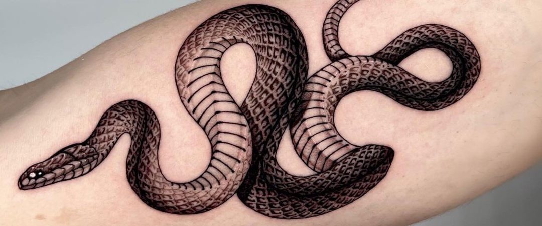 The Meaning Of A Snake Tattoo