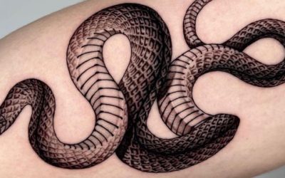 The Meaning Of A Snake Tattoo