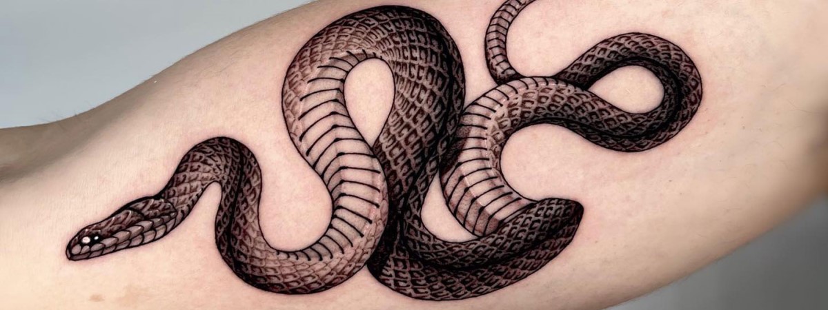 Adam's creation tattoo with snake | Small tattoos for guys, Snake tattoo  design, Tattoos for guys